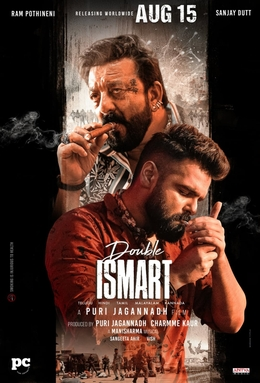 BIGGEST FLOP DIRECTORS
